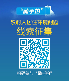 隨手拍